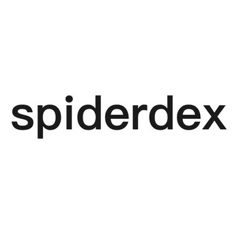印度成功发射 SpaDeX 任务双星将进行该国首次太空对接试验