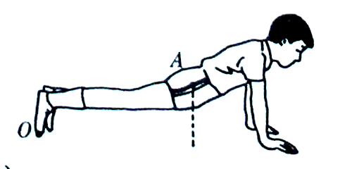 两融余额增加6175亿元 杠杆资金大幅加仓429股